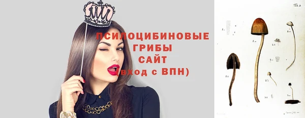 стаф Арсеньев