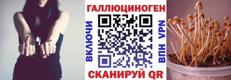 магазин наркотиков Новороссийск Псилоцибиновые грибы Cubensis